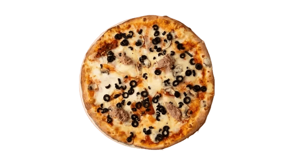 Pizza 4 Stinet Pizza 4 Stinet
